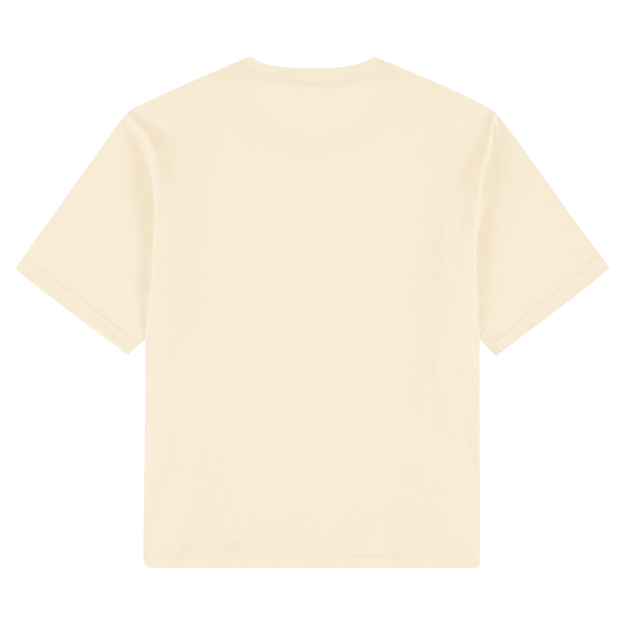 American Apparel Women's Fine Jersey Boxy T-Shirt