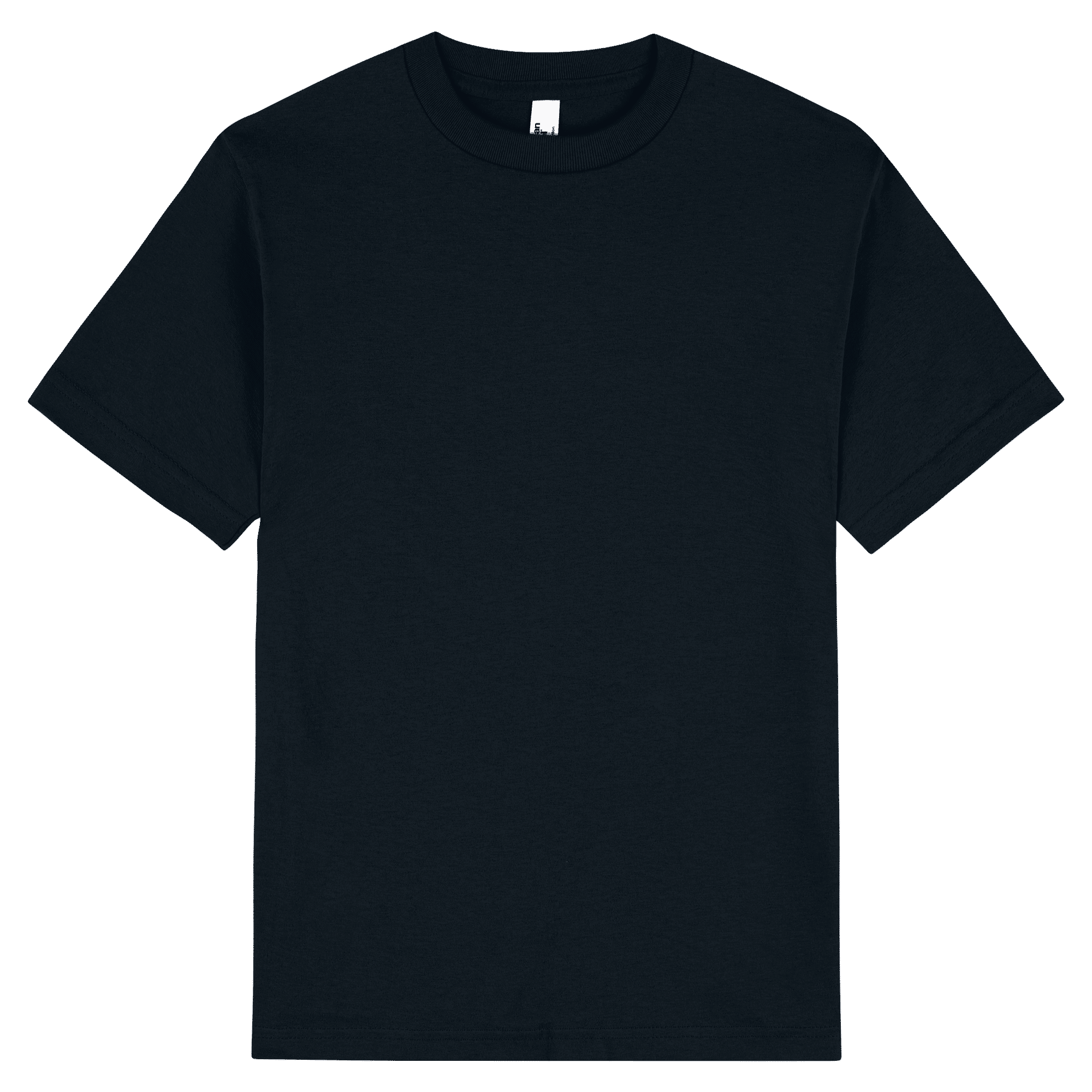 American Apparel Heavyweight Cotton Unisex T-Shirt