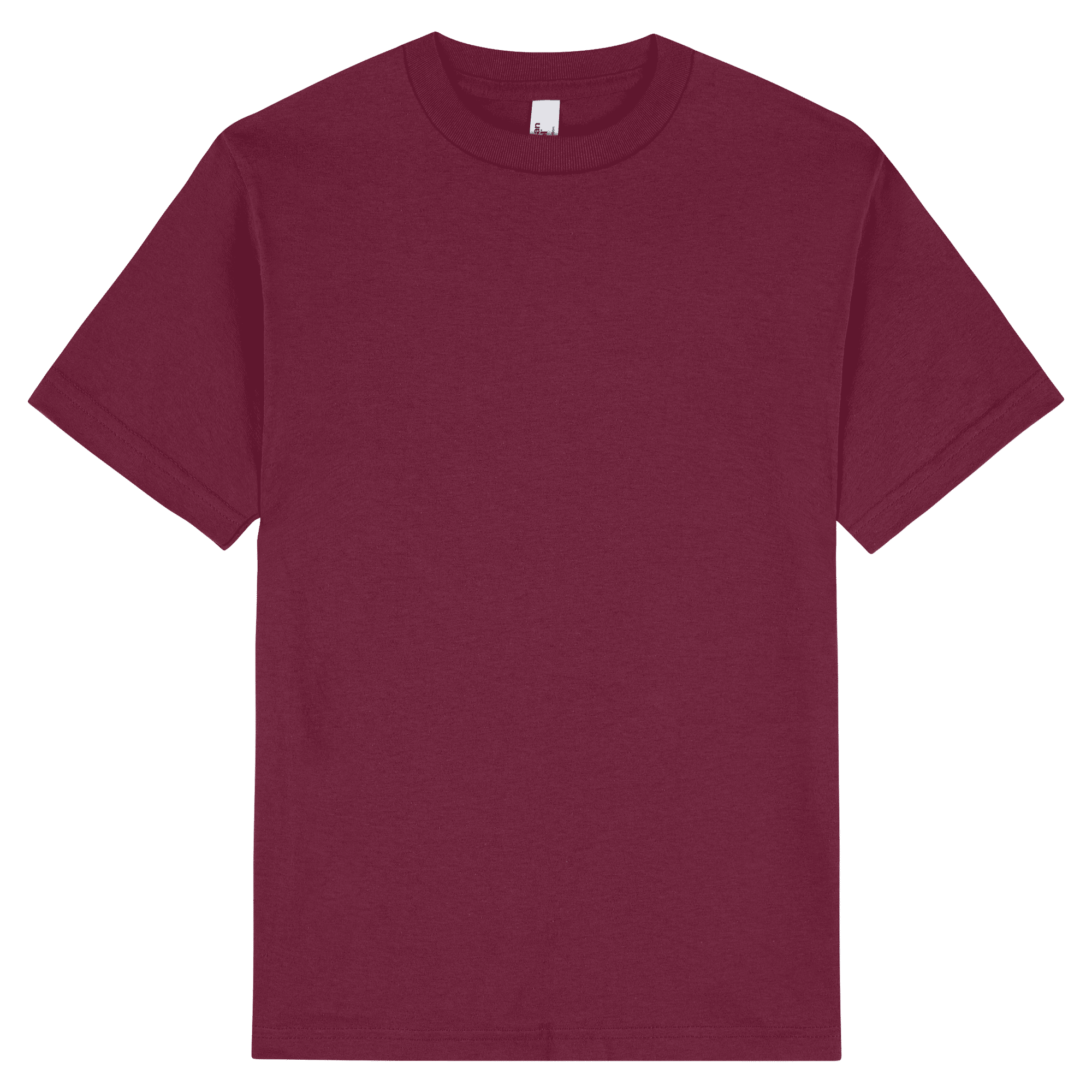 American Apparel Heavyweight Cotton Unisex T-Shirt