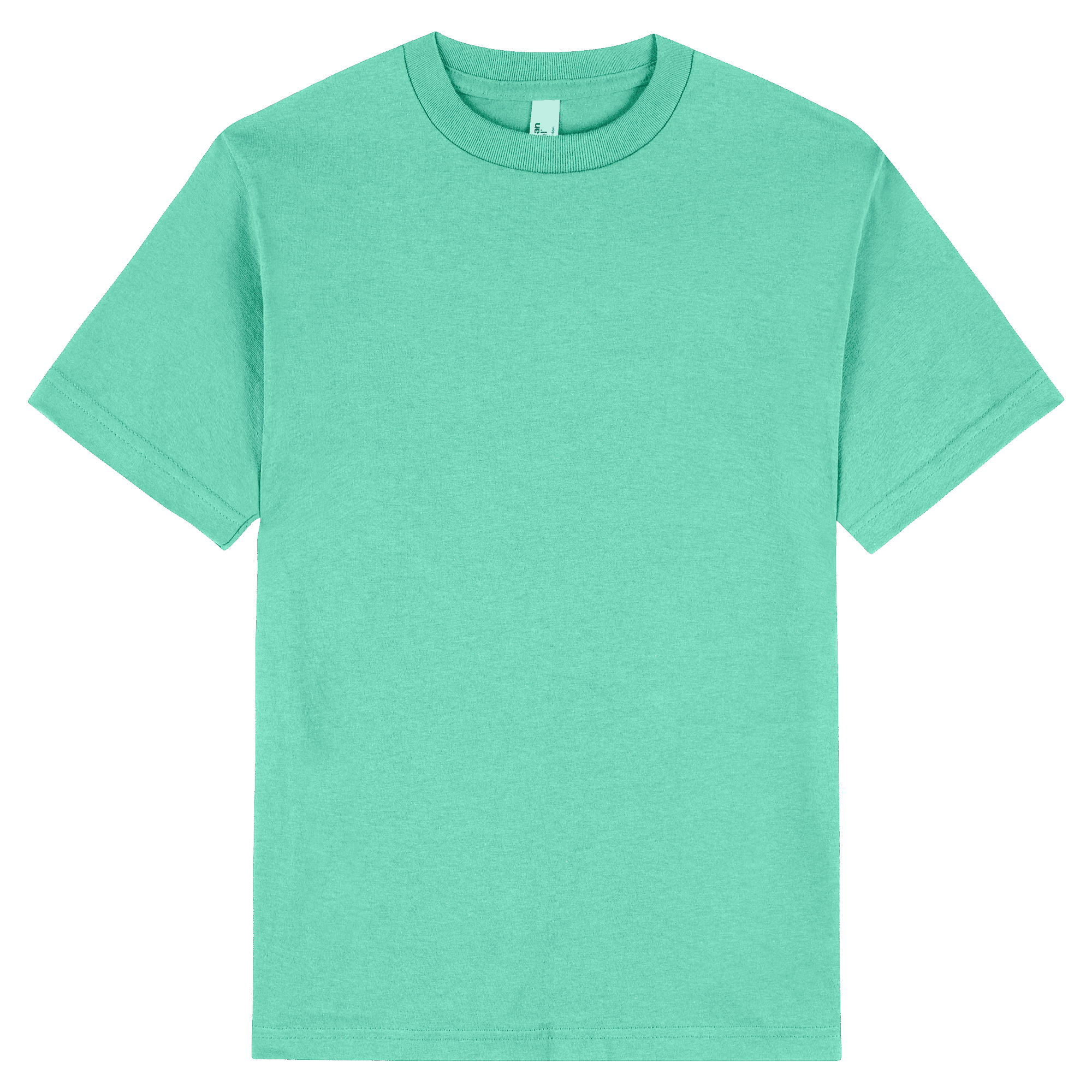 American Apparel Heavyweight Cotton Unisex T-Shirt