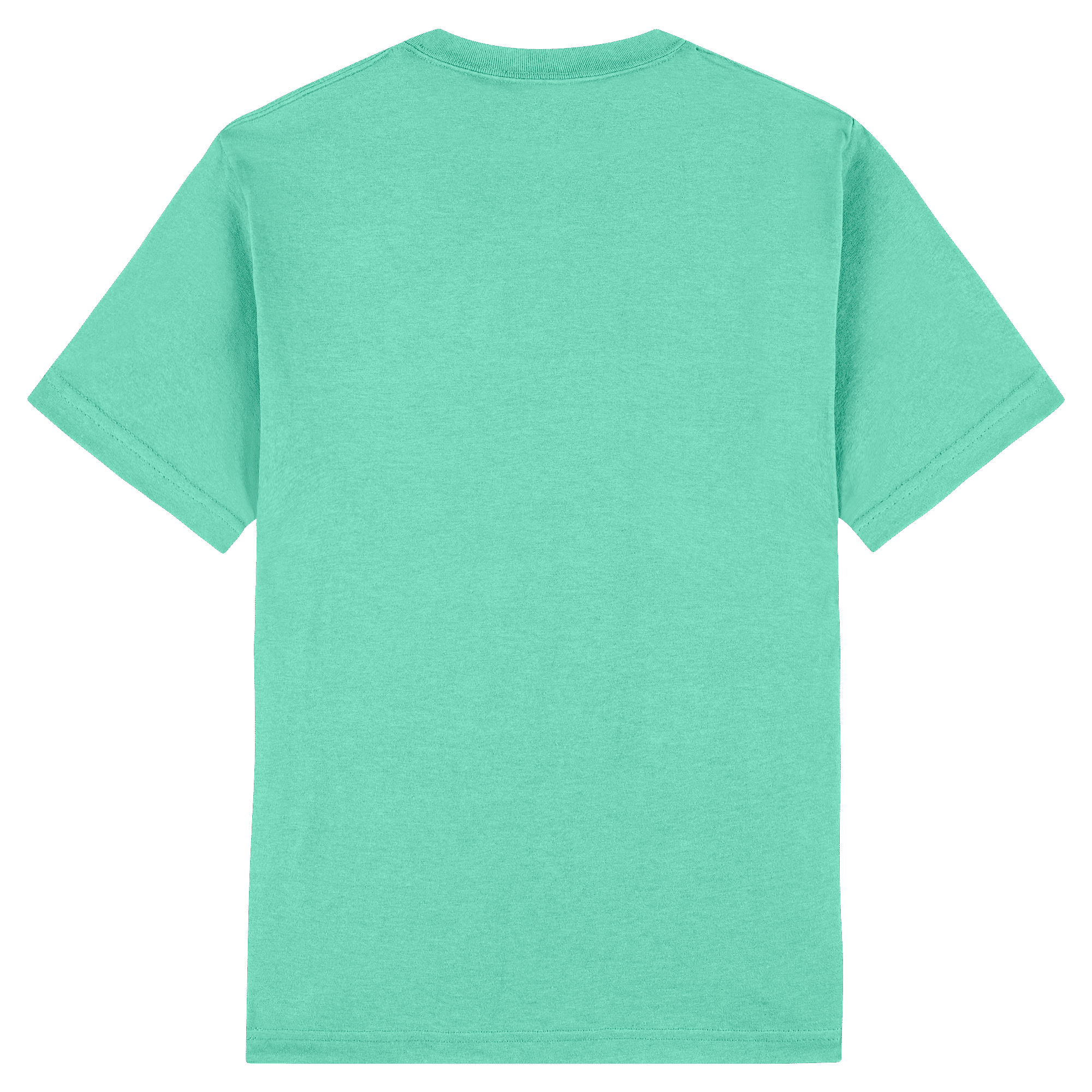 American Apparel Heavyweight Cotton Unisex T-Shirt