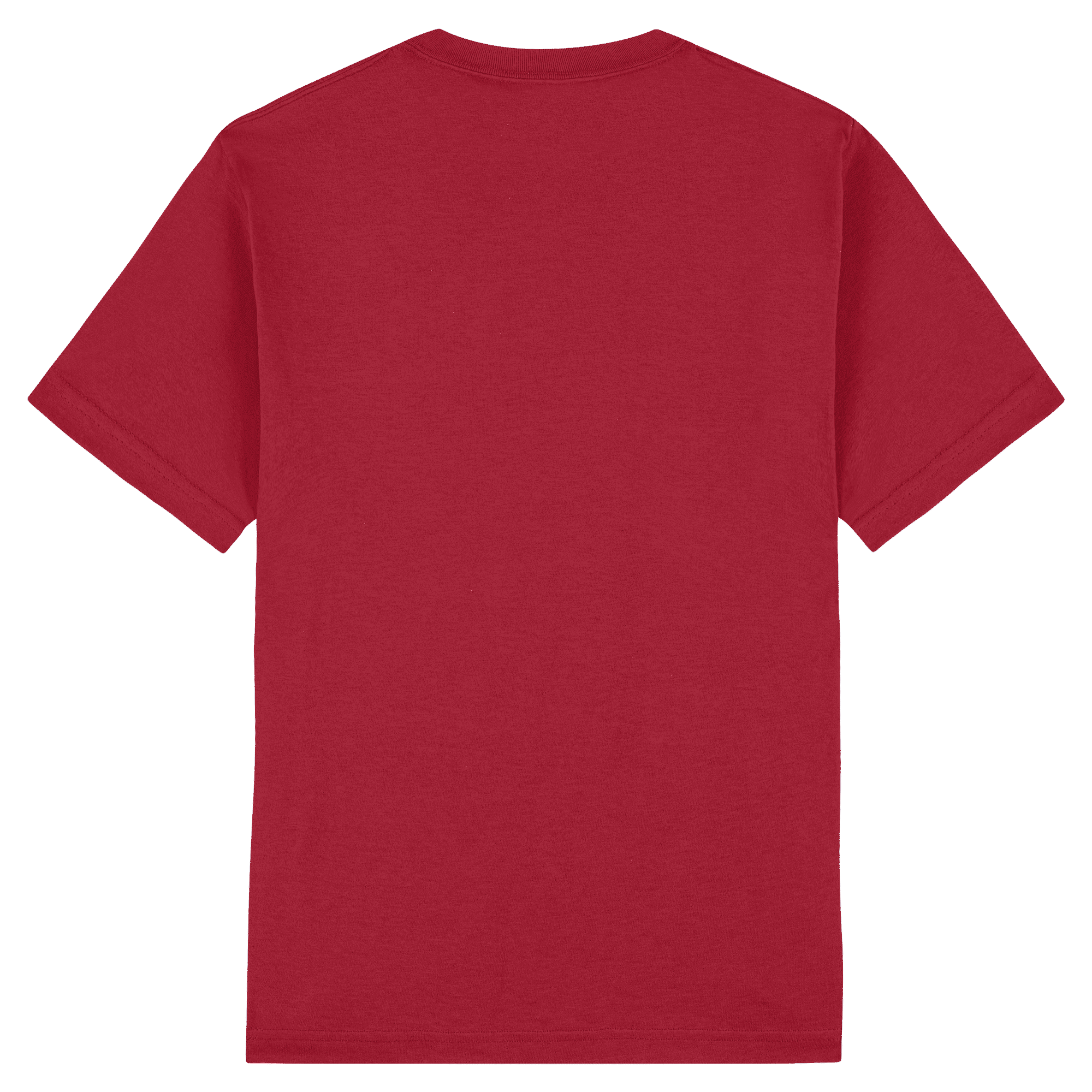 American Apparel Heavyweight Cotton Unisex T-Shirt