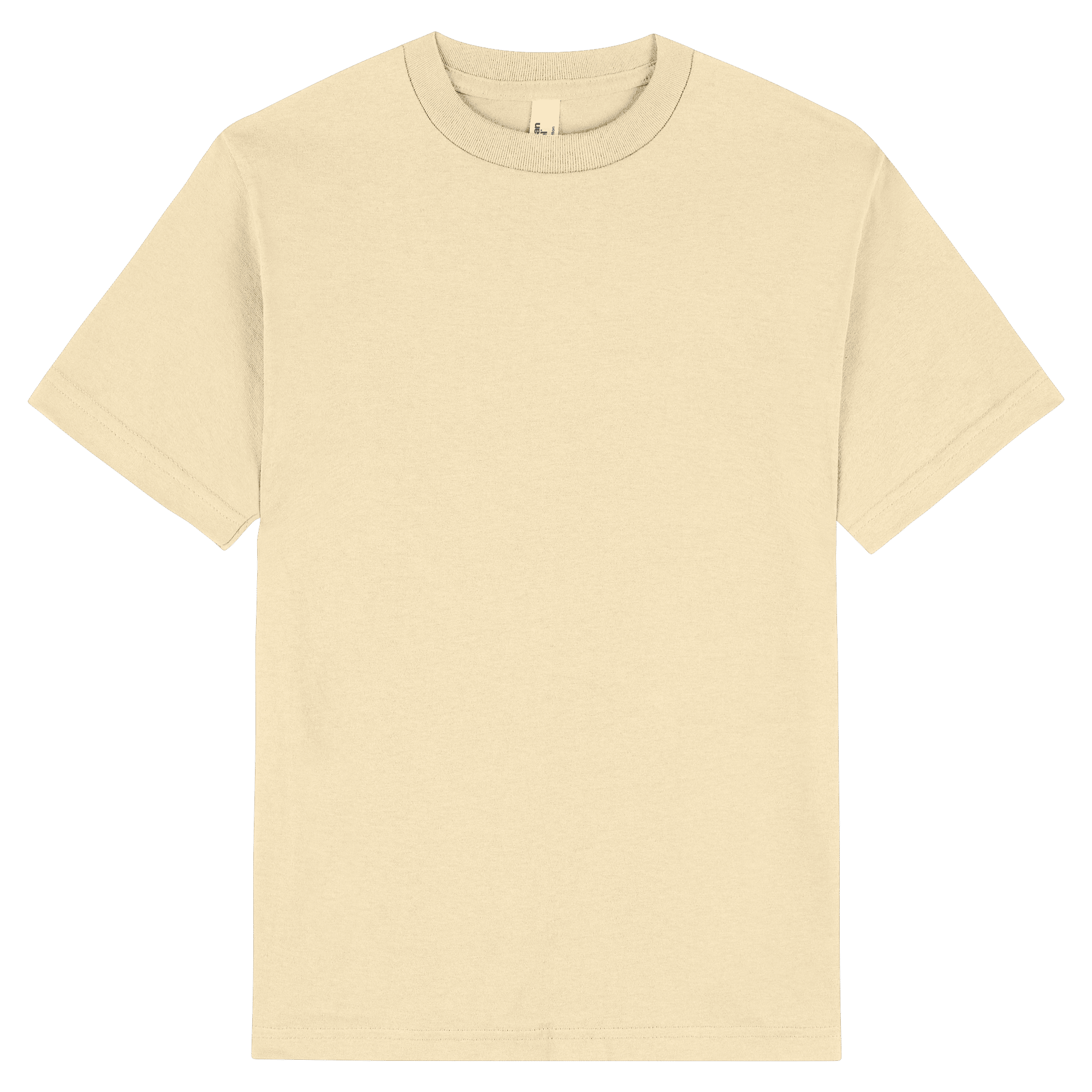 American Apparel Heavyweight Cotton Unisex T-Shirt