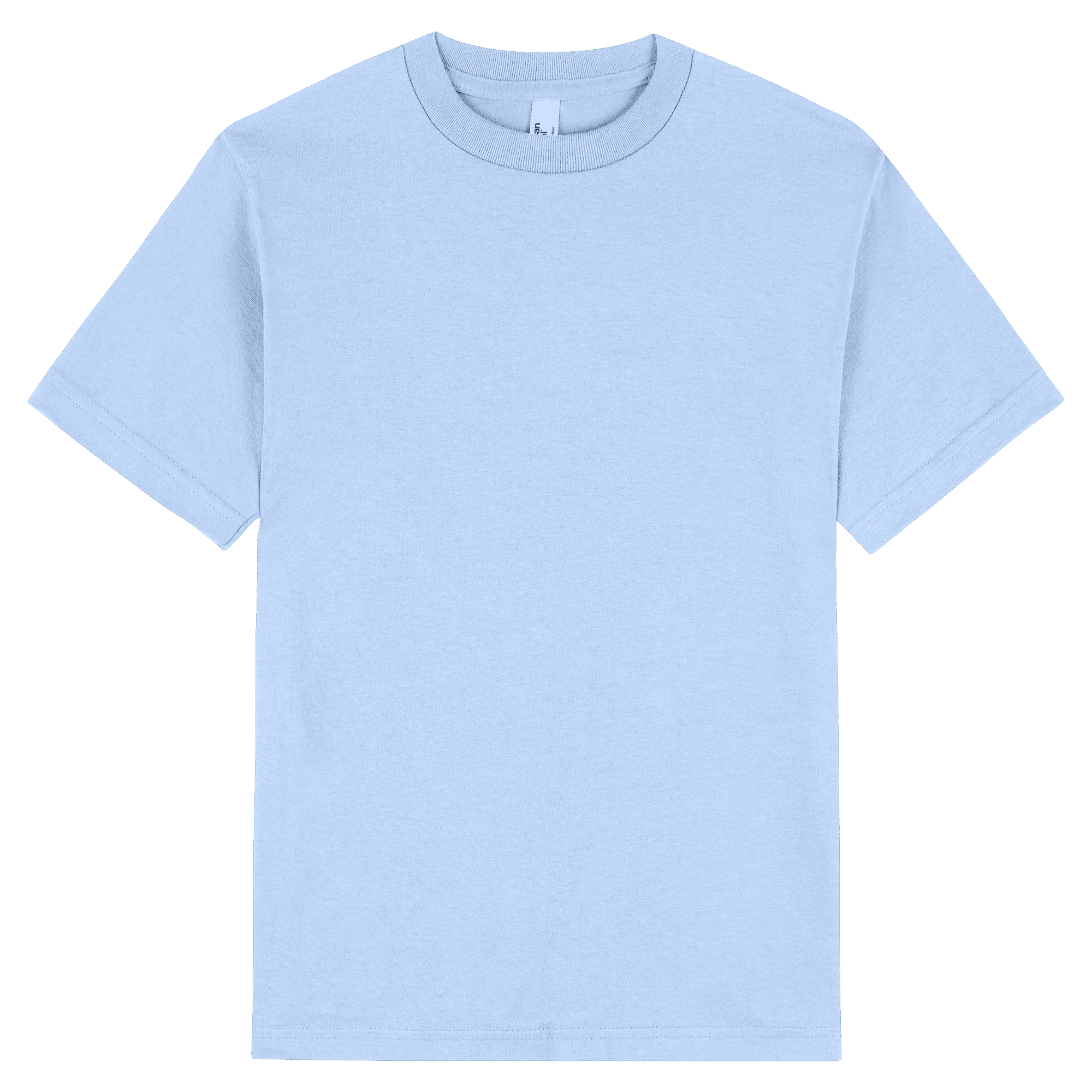 American Apparel Heavyweight Cotton Unisex T-Shirt