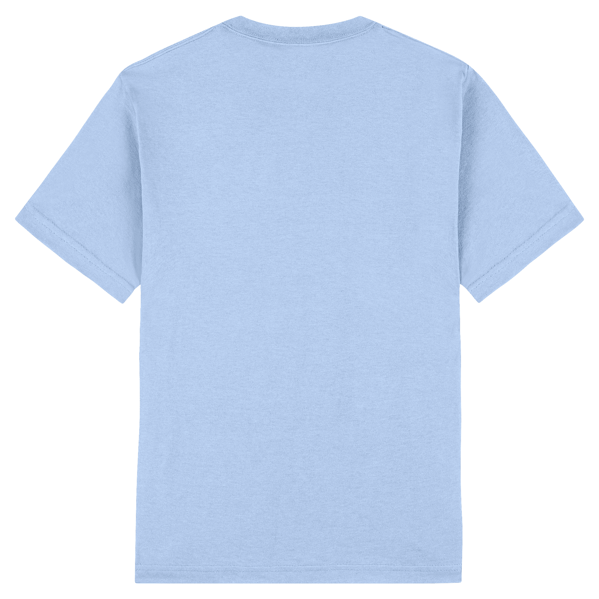 American Apparel Heavyweight Cotton Unisex T-Shirt