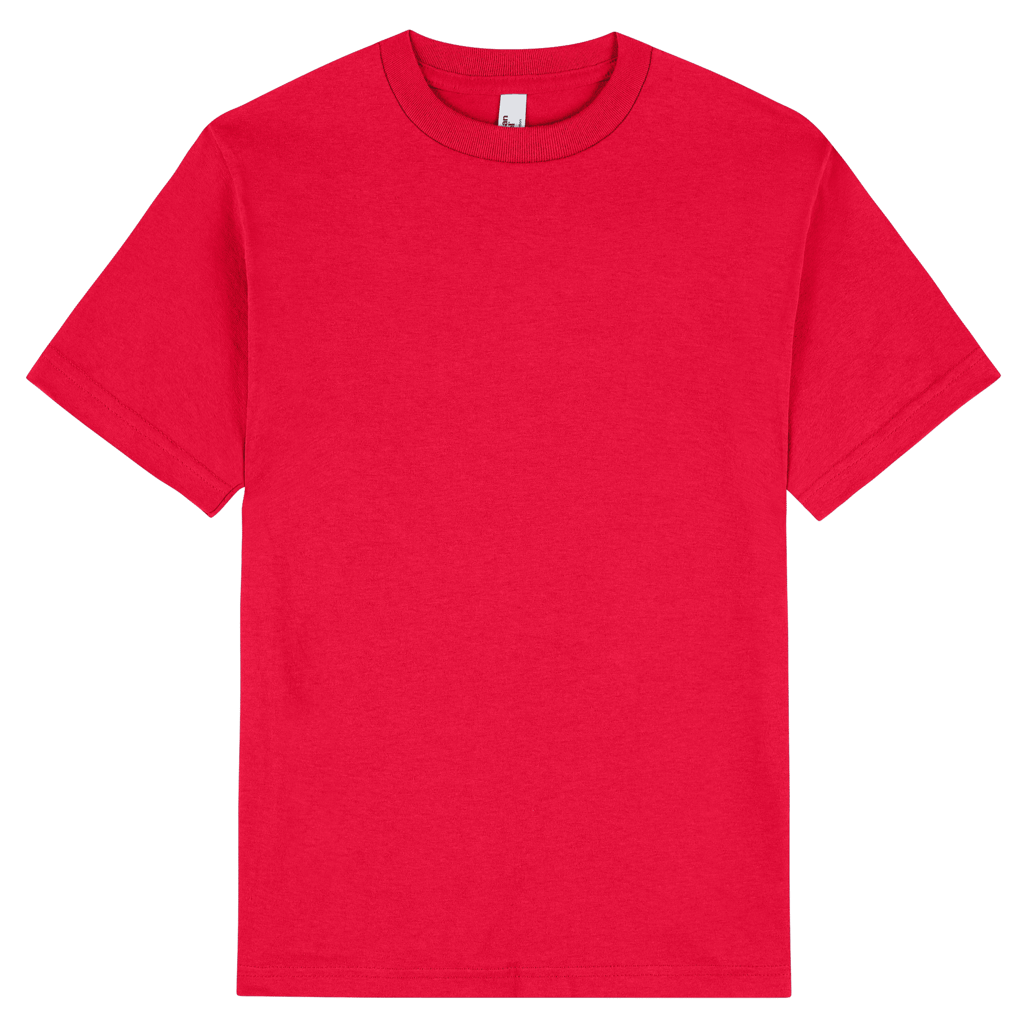 American Apparel Heavyweight Cotton Unisex T-Shirt