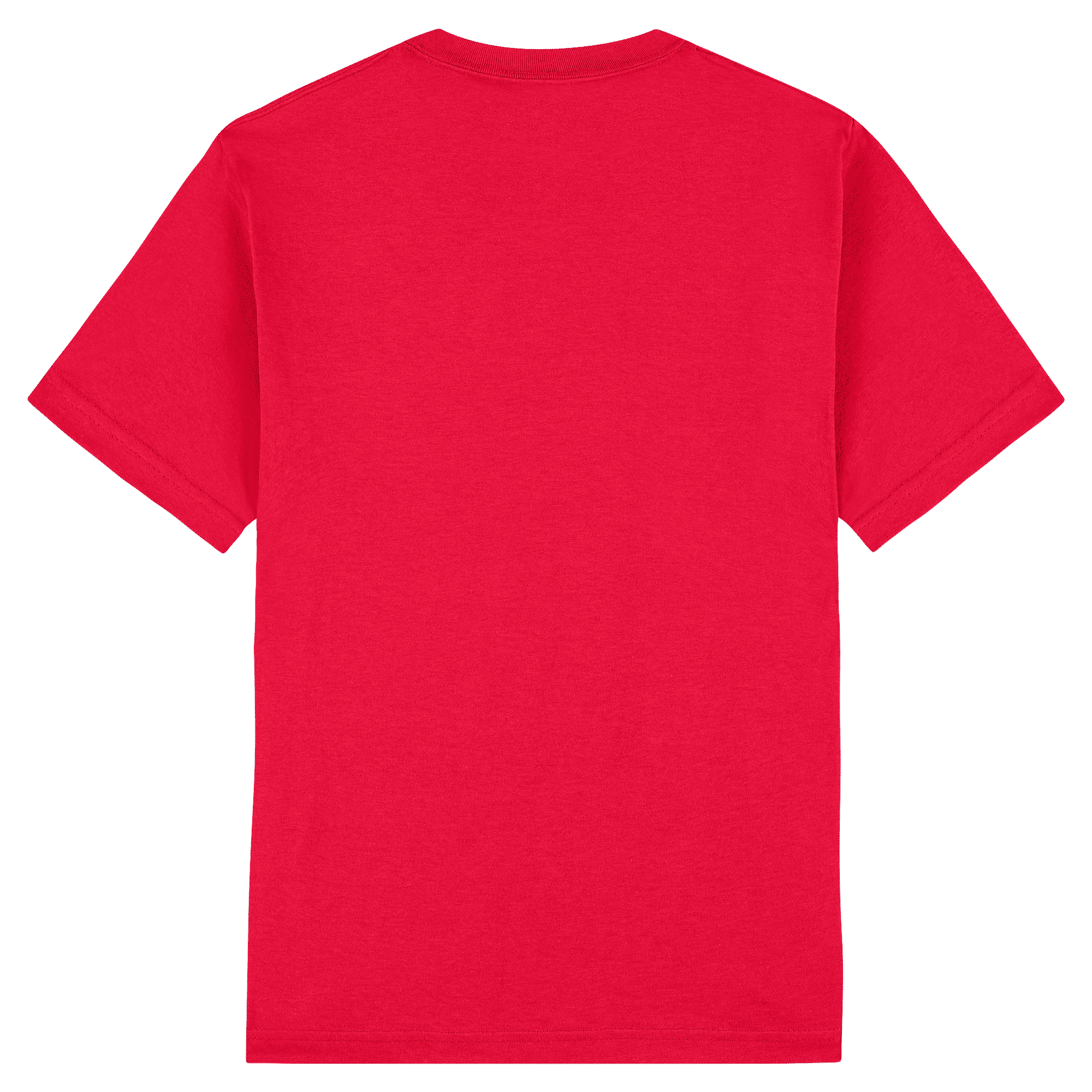 American Apparel Heavyweight Cotton Unisex T-Shirt
