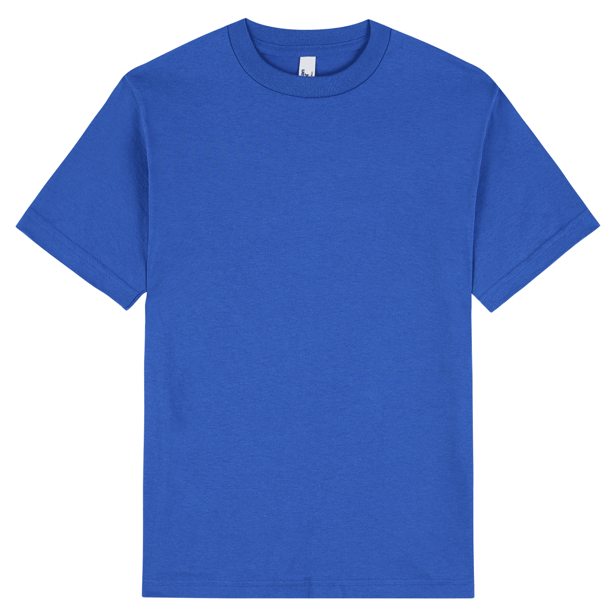American Apparel Heavyweight Cotton Unisex T-Shirt