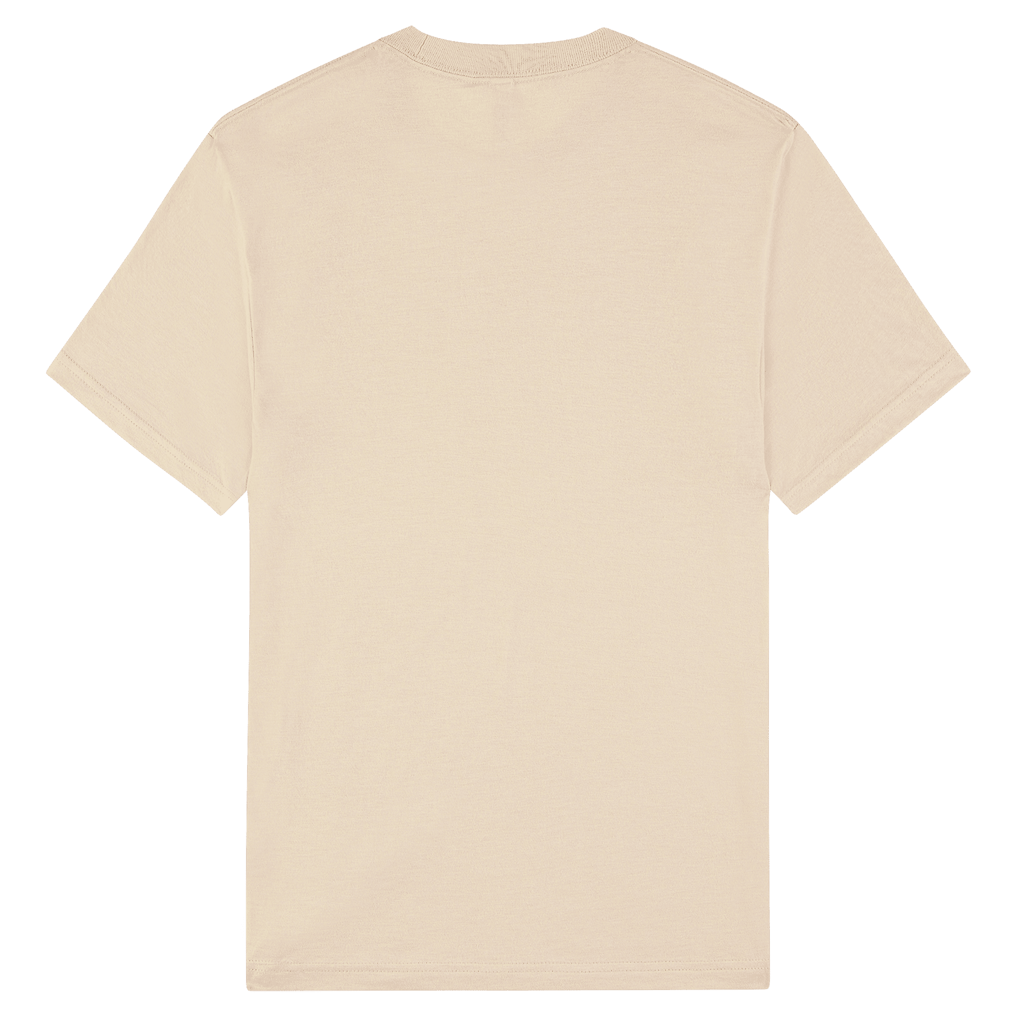 American Apparel Unisex CVC Short Sleeve T-Shirt