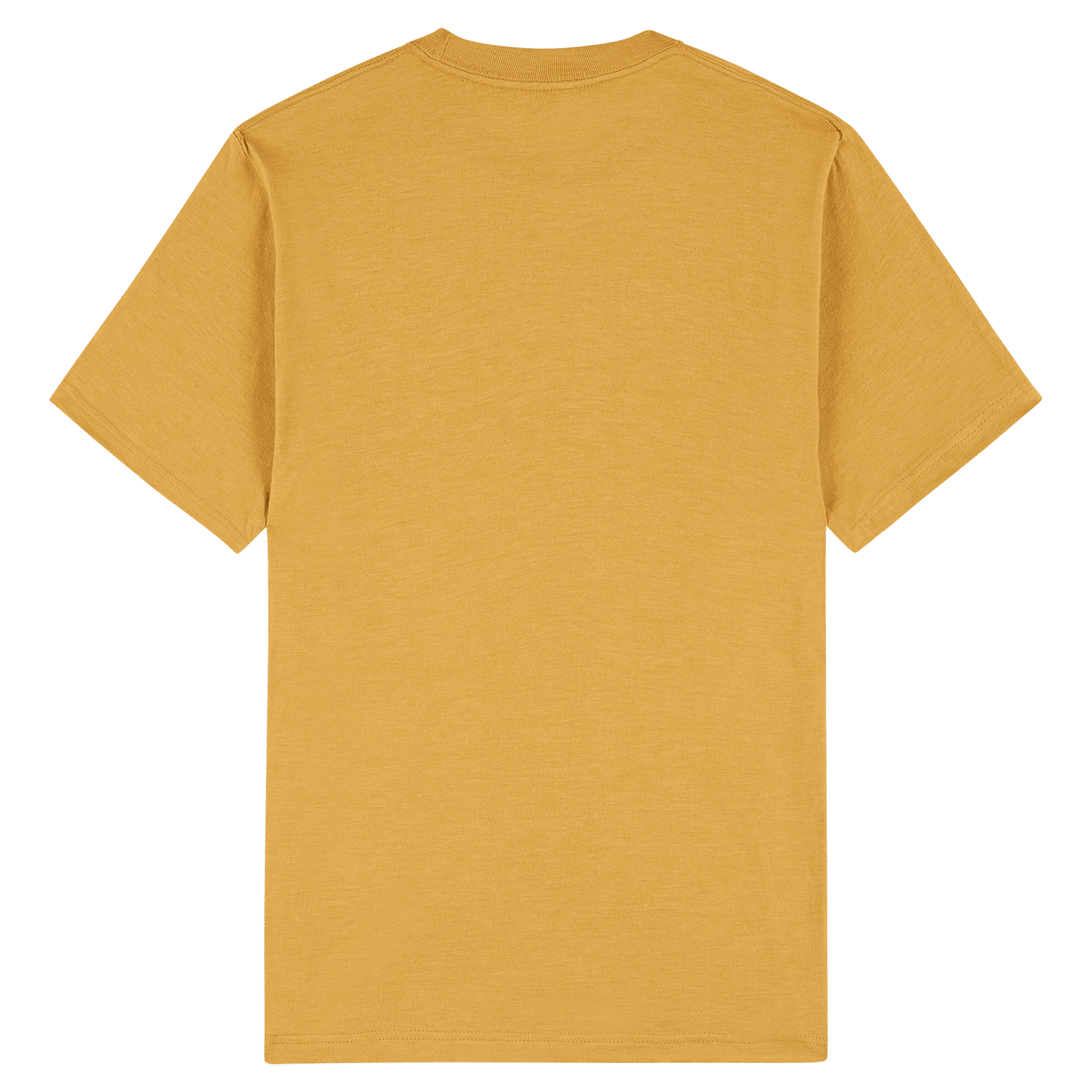 American Apparel Unisex CVC Short Sleeve T-Shirt