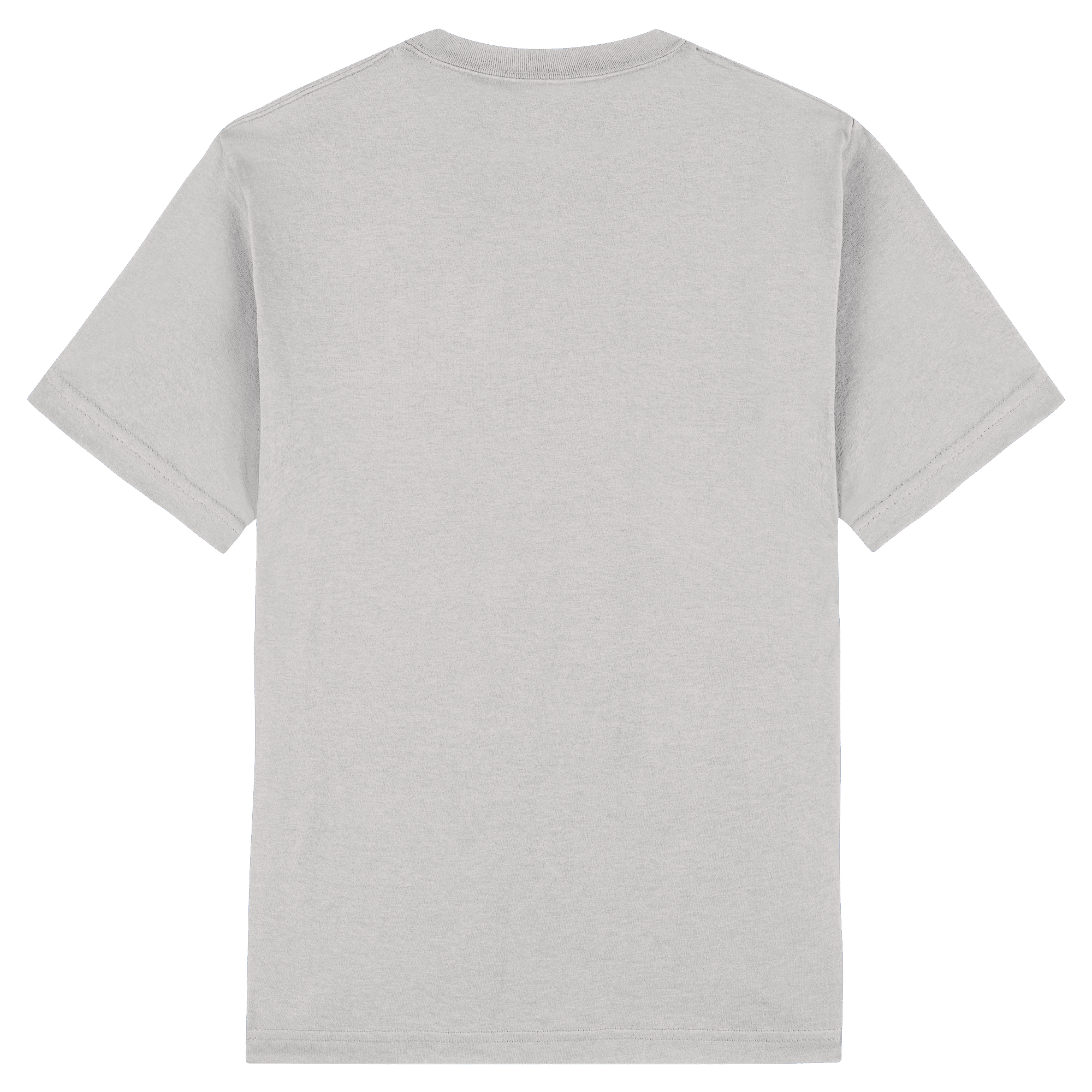 American Apparel Heavyweight Cotton Unisex T-Shirt