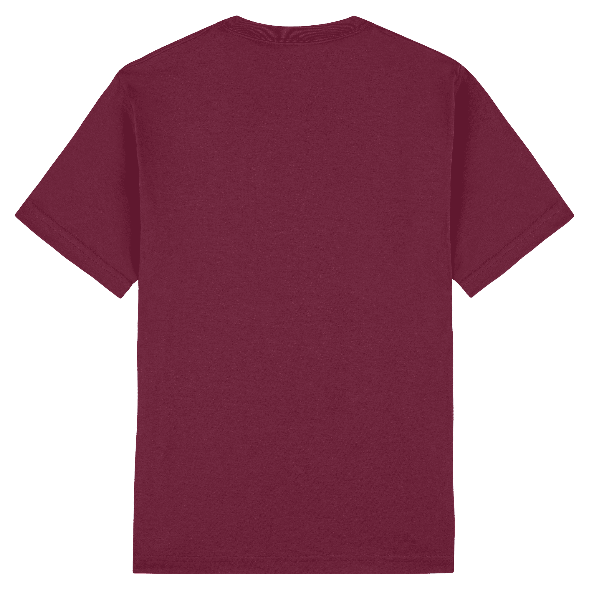 American Apparel Heavyweight Cotton Unisex T-Shirt