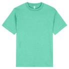 American Apparel Heavyweight Cotton Unisex T-Shirt