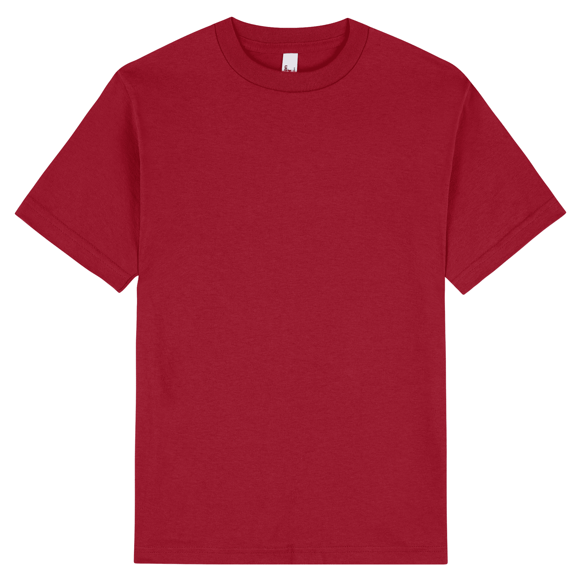 American Apparel Heavyweight Cotton Unisex T-Shirt