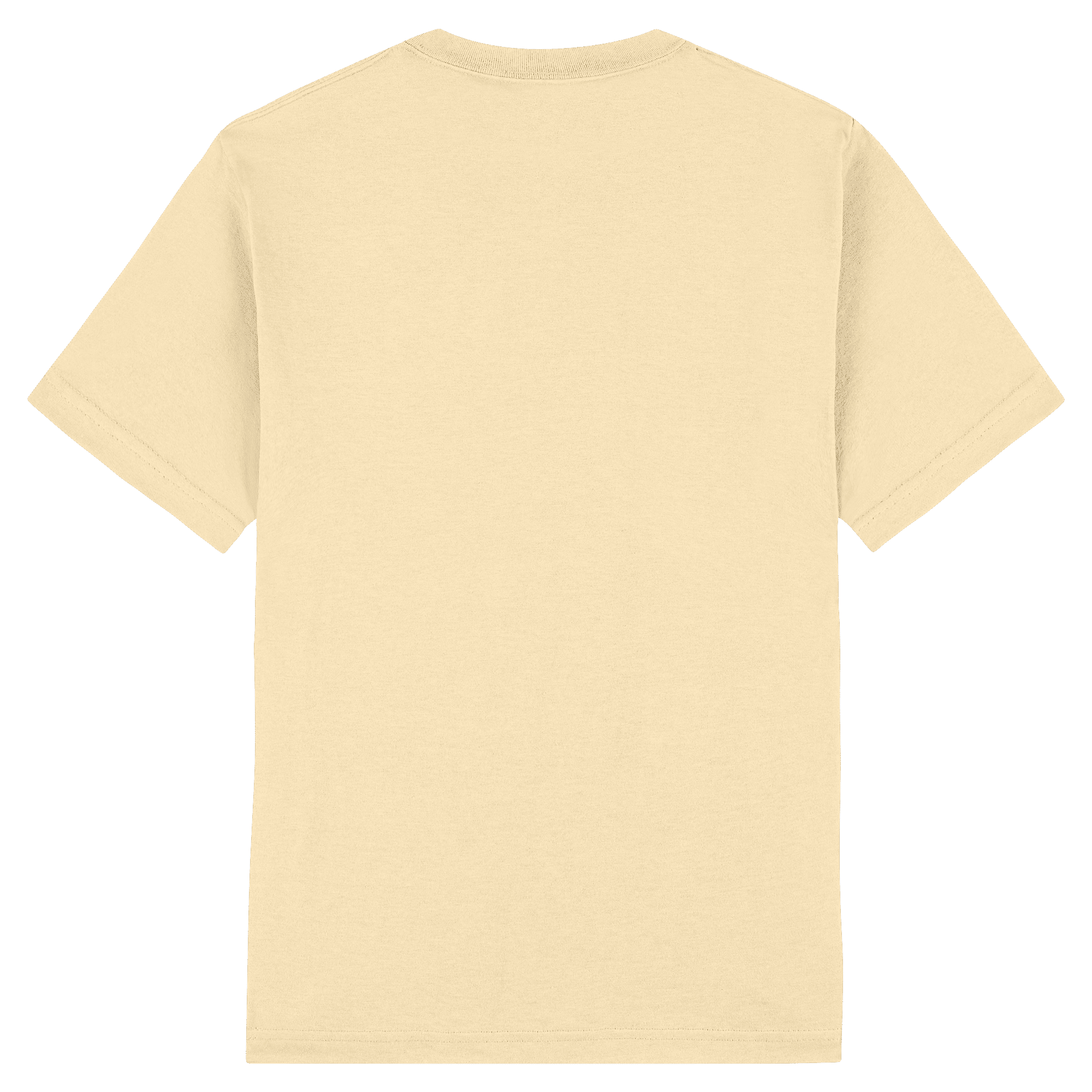 American Apparel Heavyweight Cotton Unisex T-Shirt