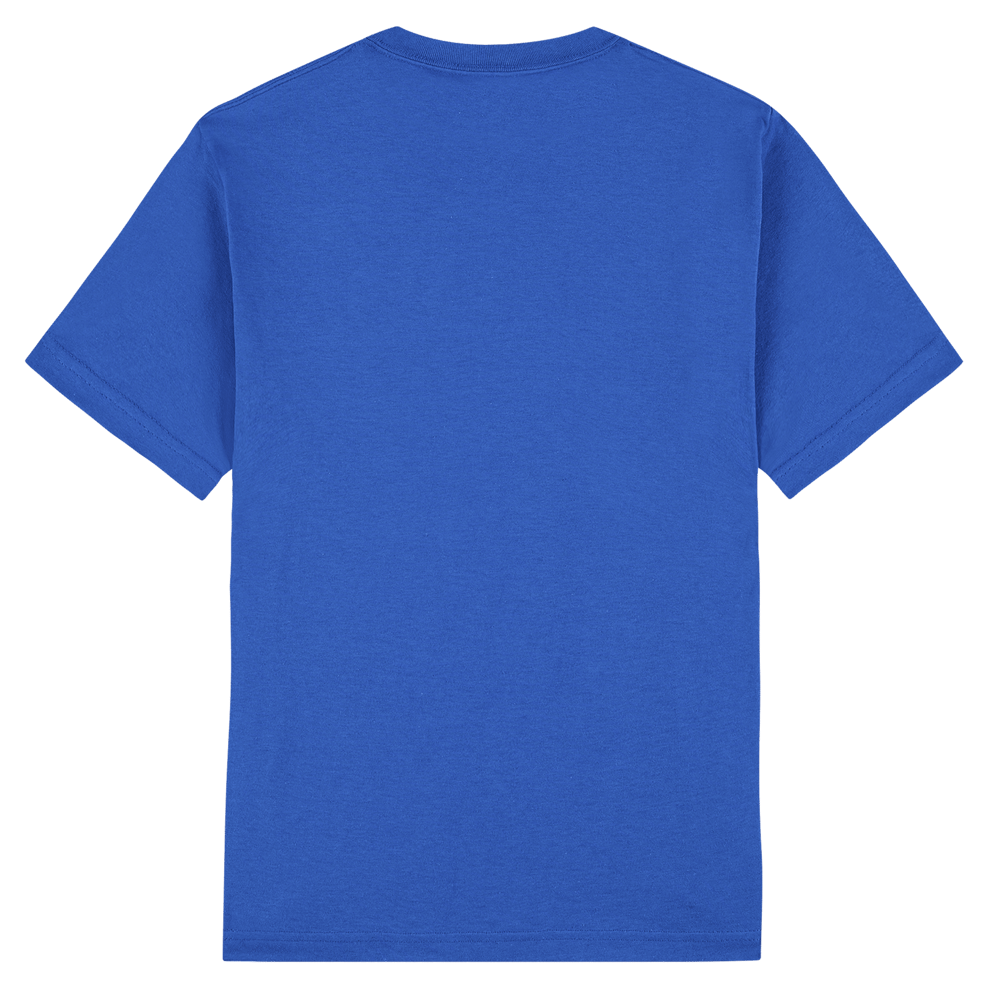 American Apparel Heavyweight Cotton Unisex T-Shirt