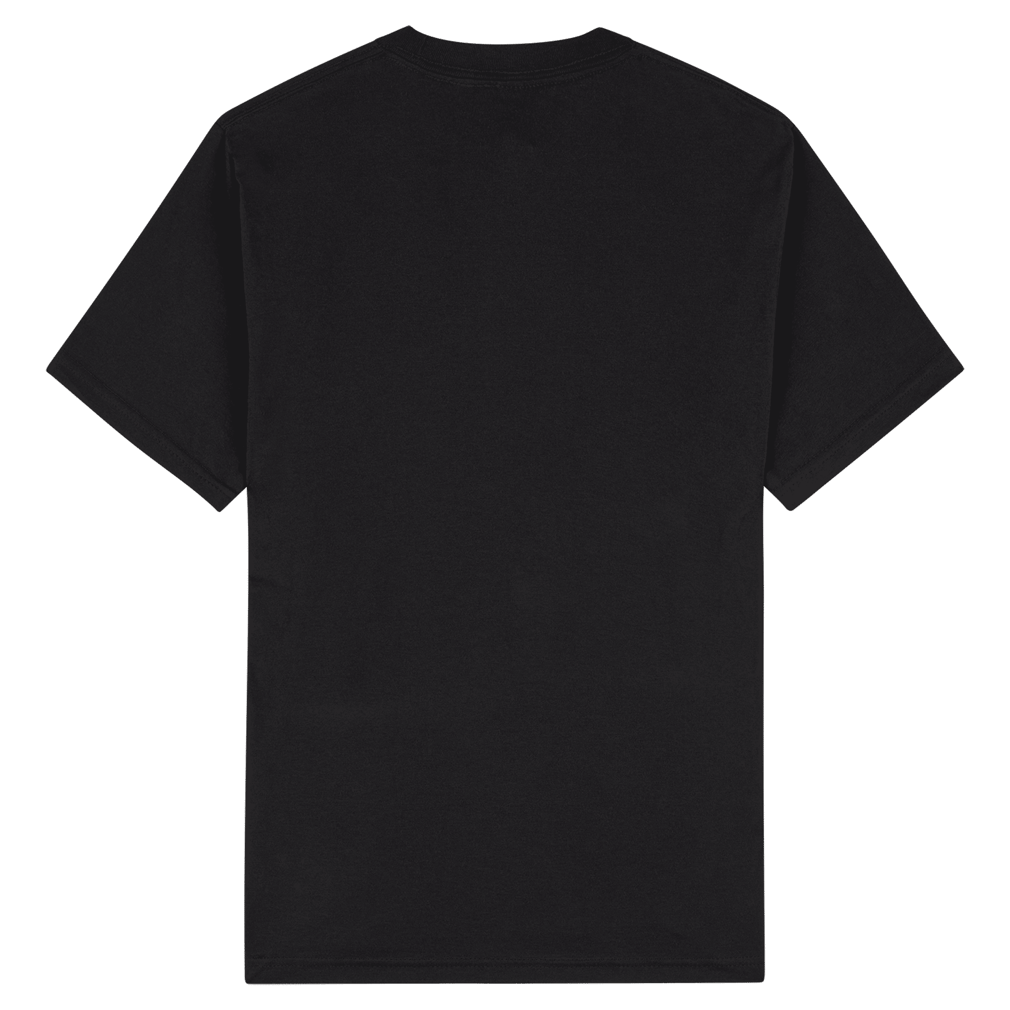 American Apparel Unisex CVC Short Sleeve T-Shirt