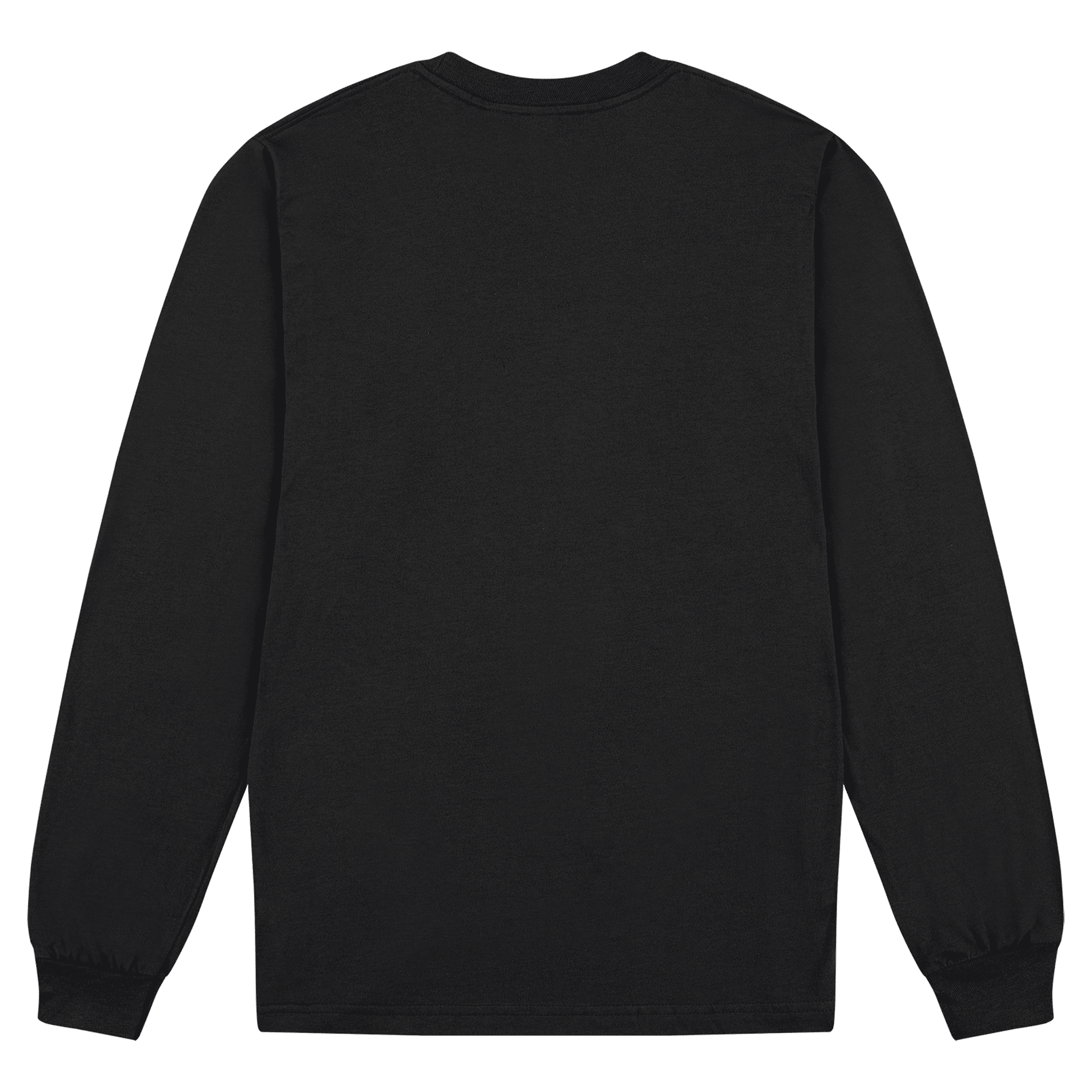 American Apparel Cotton Long Sleeve Fine Jersey T-shirt
