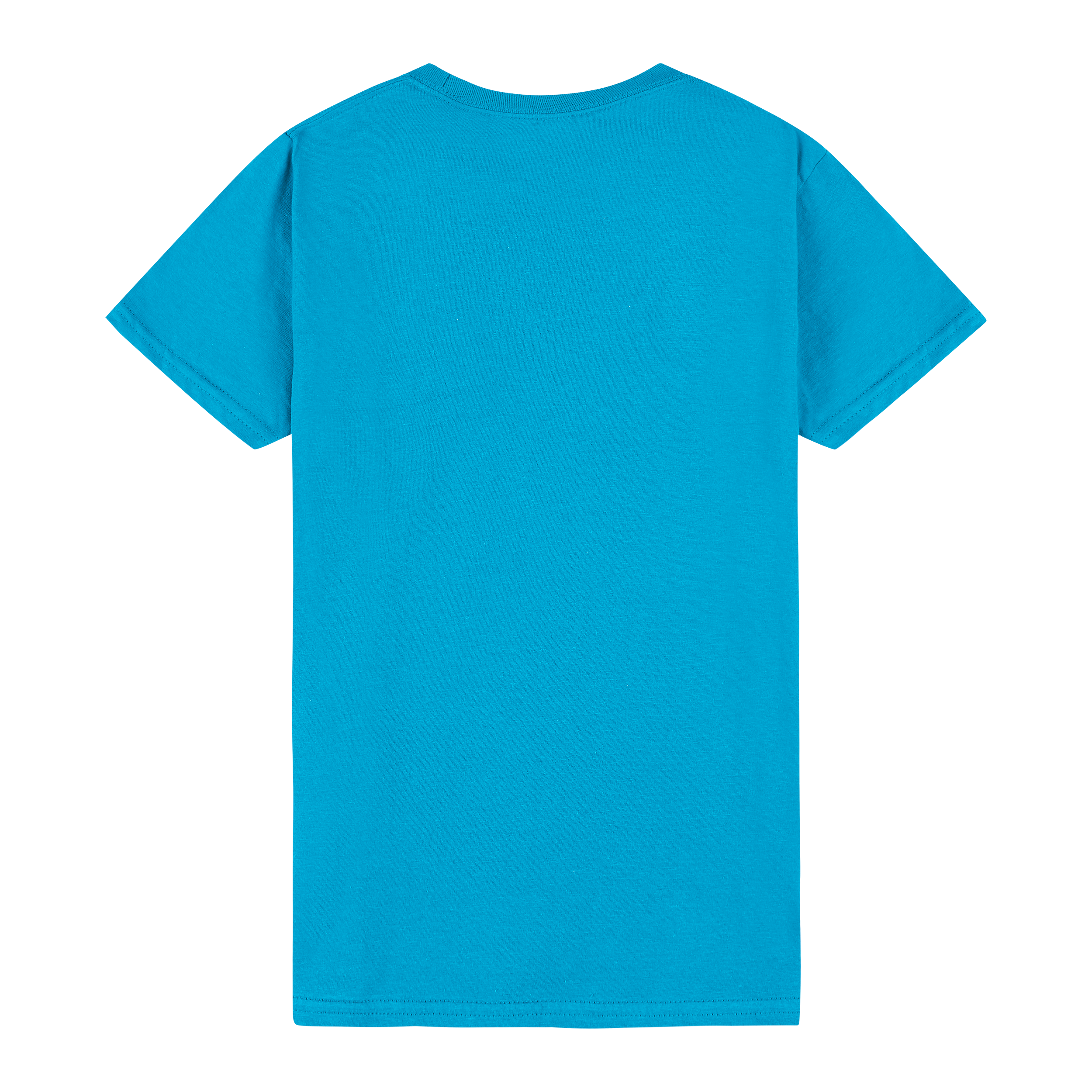 Gildan Softstyle Ladies Midweight T-Shirt