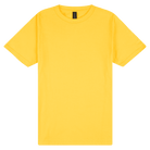 Gildan Softstyle Youth Midweight T-Shirt