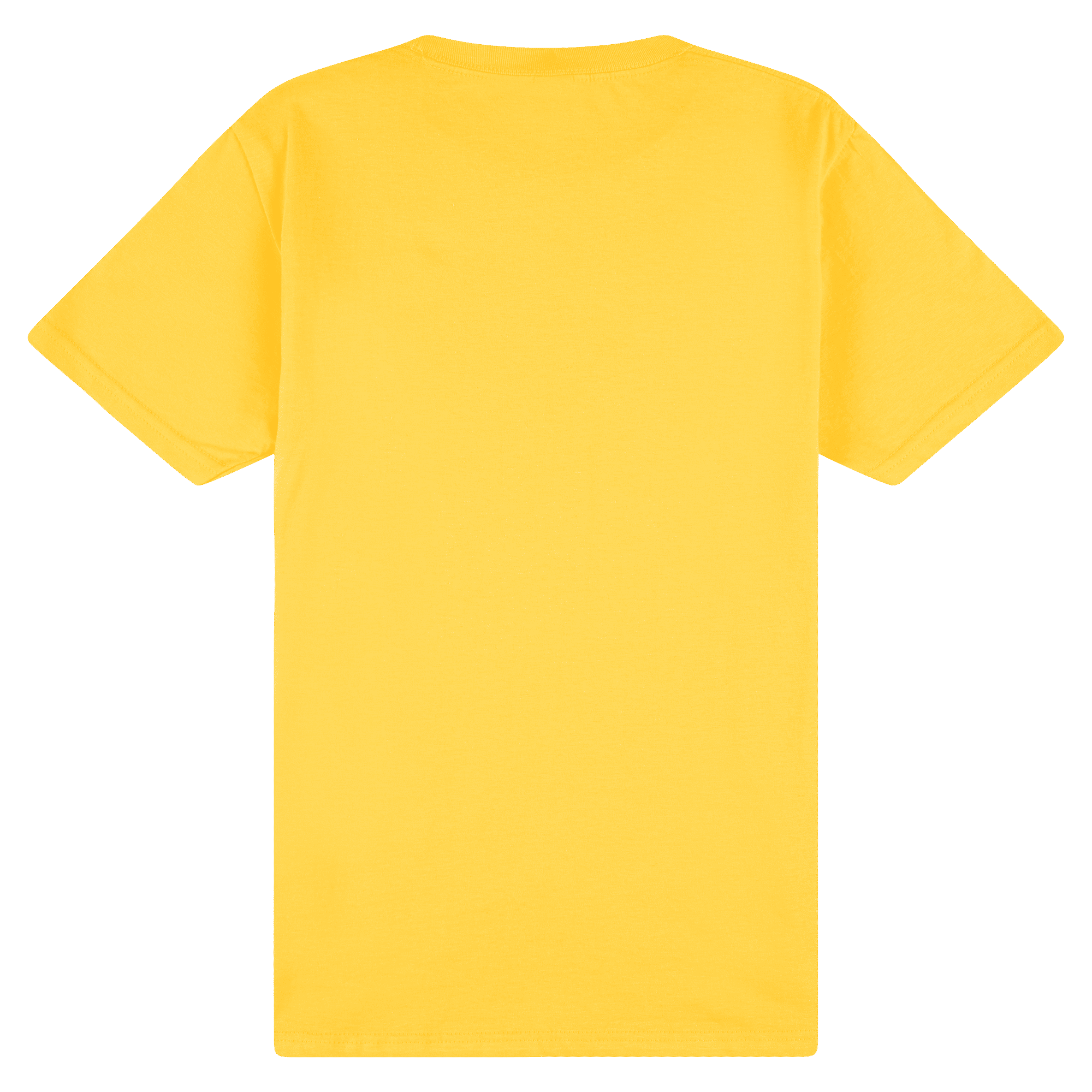 Gildan Softstyle Youth Midweight T-Shirt