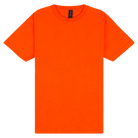 Gildan Softstyle Youth Midweight T-Shirt